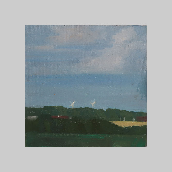 Fields X