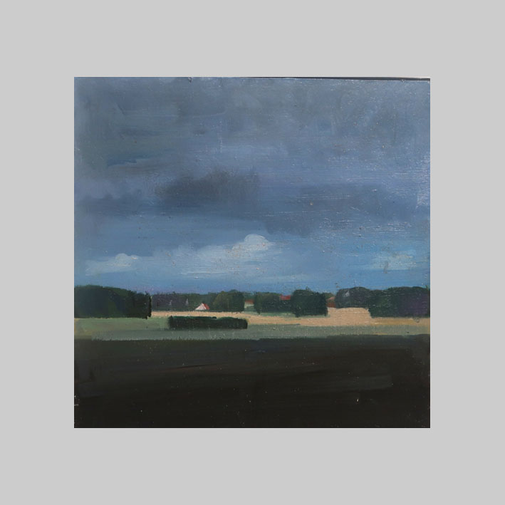 Fields X